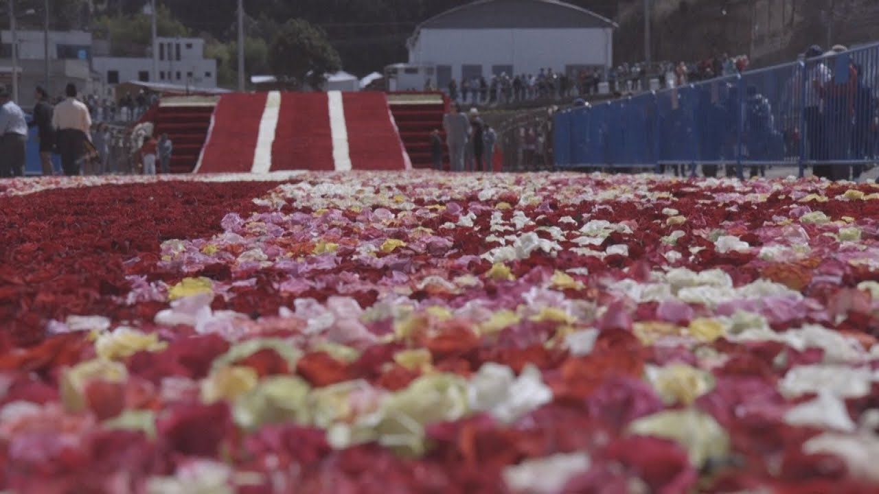 Ecuador displays its radiant roses with the world&rsquo;s largest floral pyramid