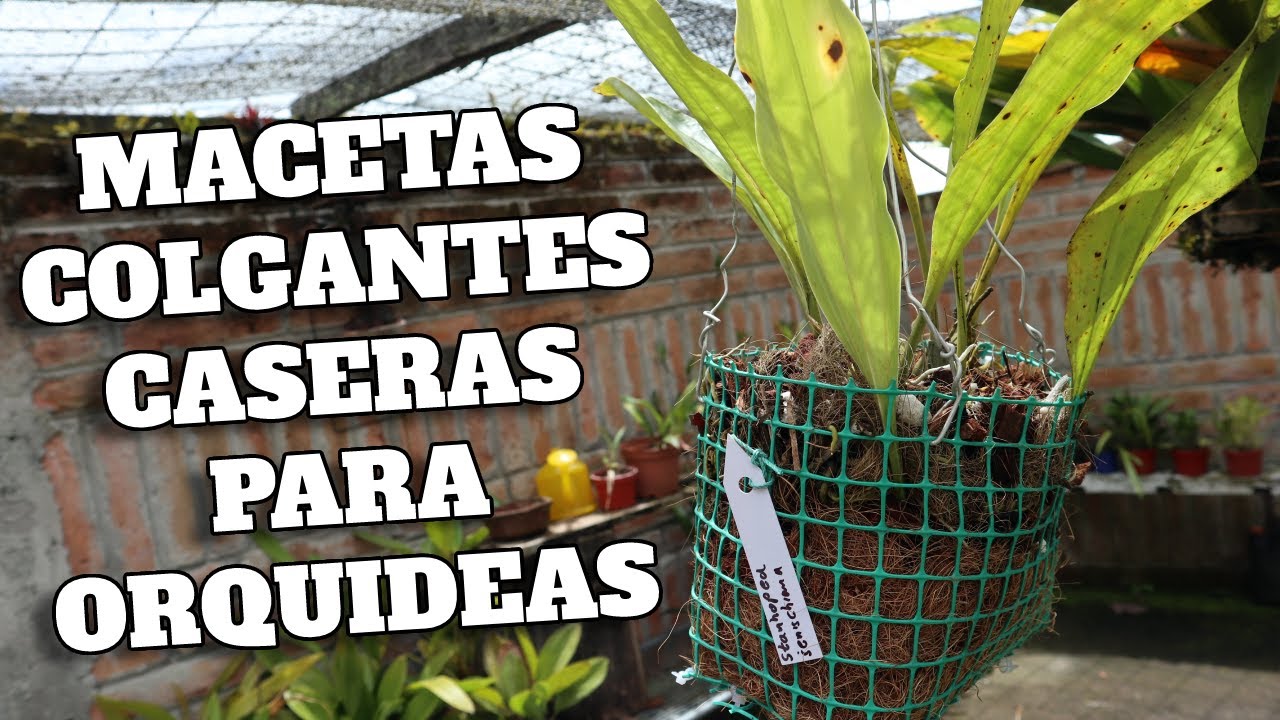 Macetas Colgantes CASERAS Y BARATAS para Orquideas