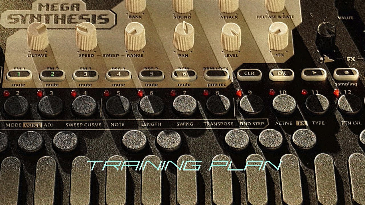 'Training Plan' (Liven Mega Synthesis)