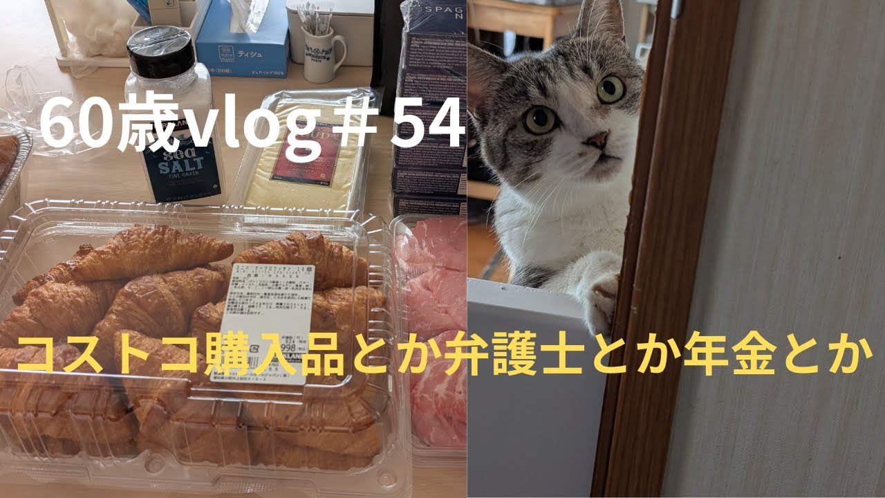 ＜60歳vlog＞＃54 月一のコストコ購入品/孫ちゃんとお盆のおでかけ/弁護士2回目の打ち合わせ/年金支給額決定　#コストコ　#熟年離婚　#年金　#繰上げ受給