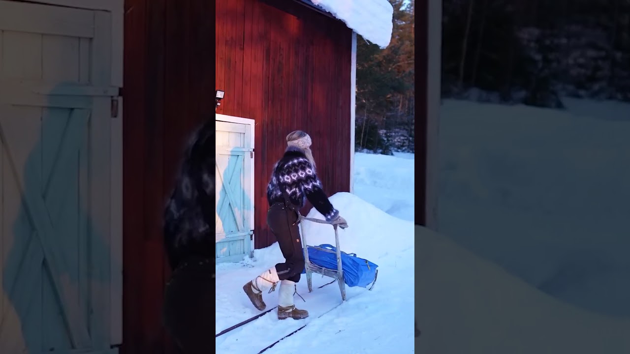 My life in the Swedish winter