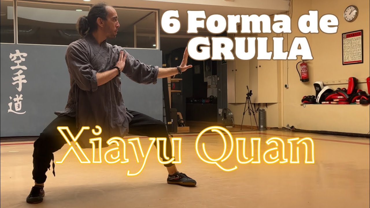 Aprender Kung fu: 雨拳 XIAYU QUAN “El puño de la lluvia” (Sexta forma de Grulla)