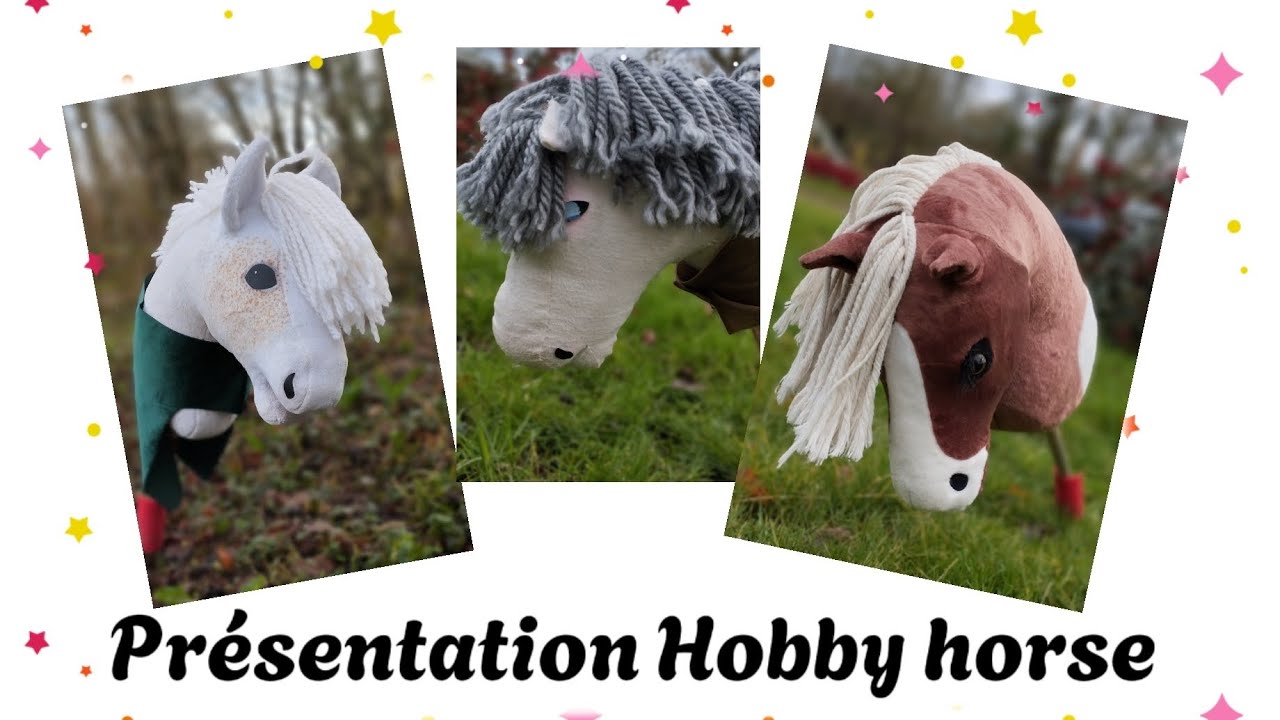 PRÉSENTATION DES HOBBY HORSE - Et des affaires !