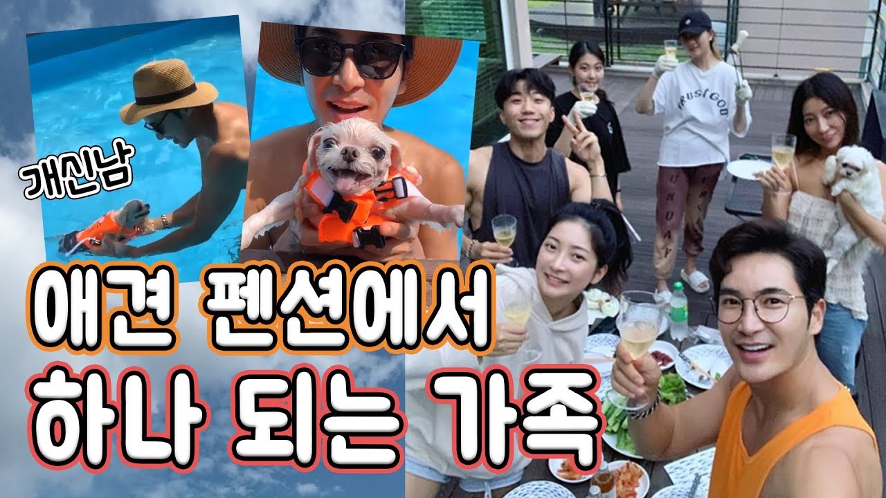반려견과 함께 떠나는 '힐링' 가족 여행 V-log!..."강아지, 나 홀로 집에 그만! 이제는 같이가요"