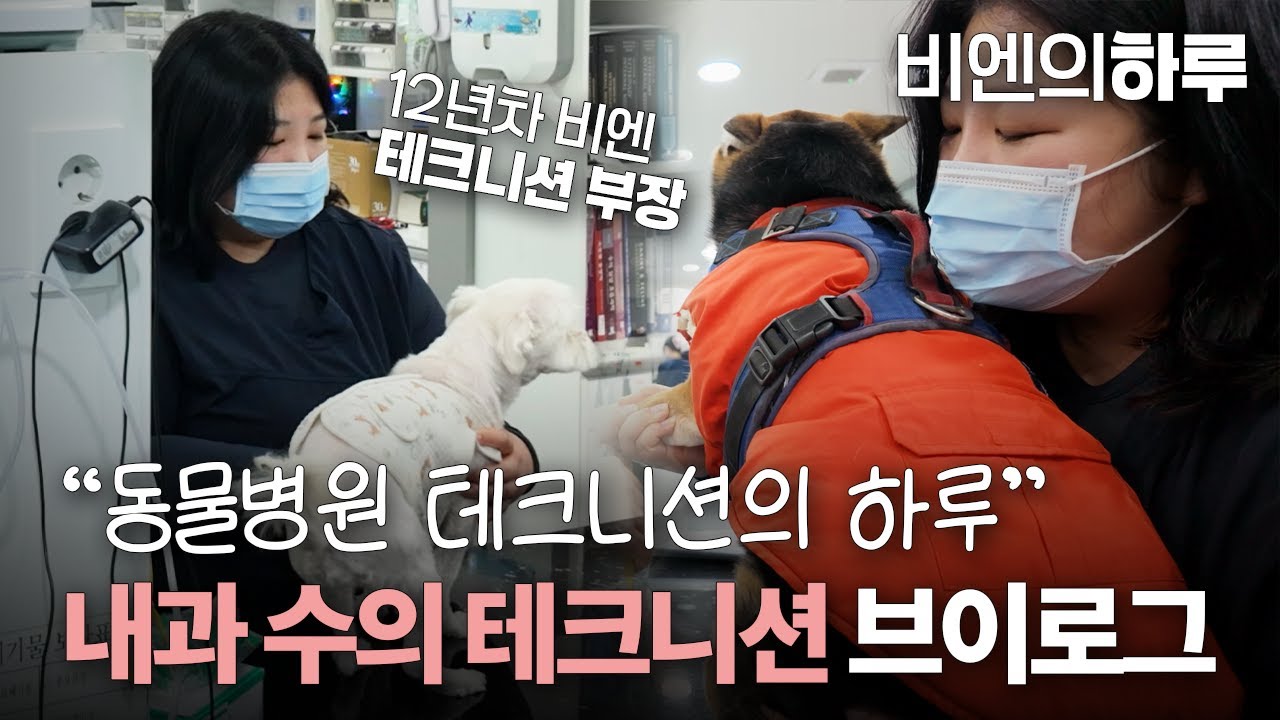 동물병원 내과 수의 테크니션 브이로그 - 12년차 수의 테크니션의 하루