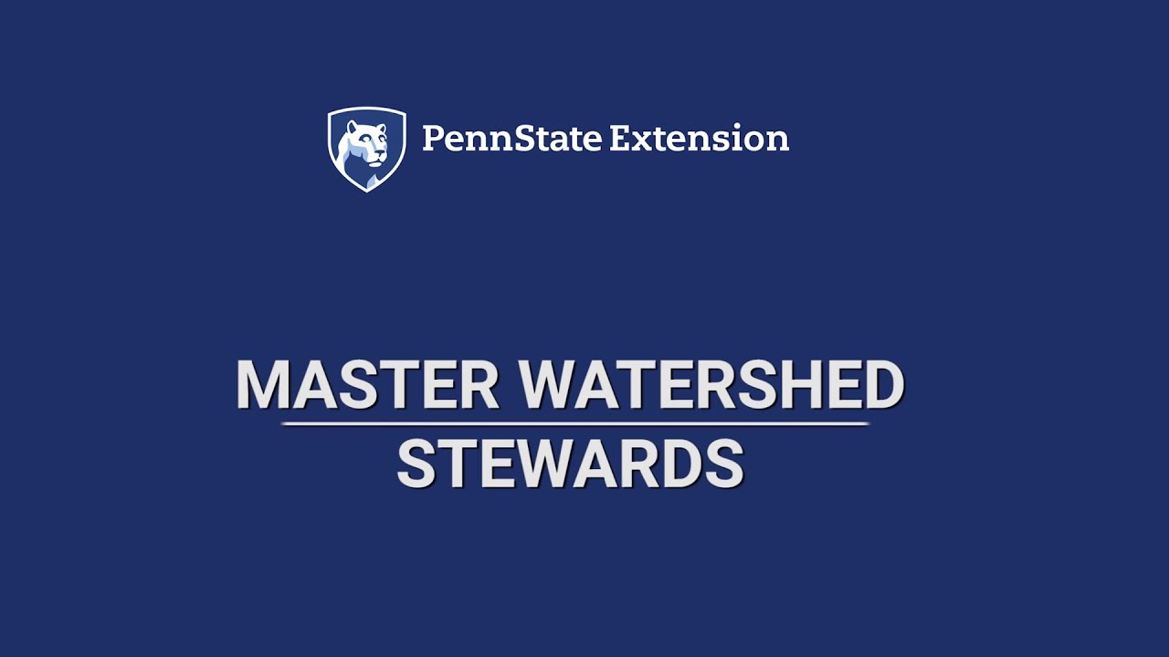 Master Watershed Stewards Partner Video 2023