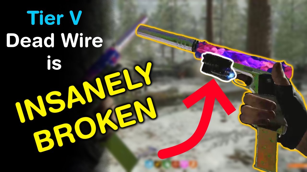The ONLY Ammo Mod You NEEDED; RIP Dead Wire - Cold War Zombies