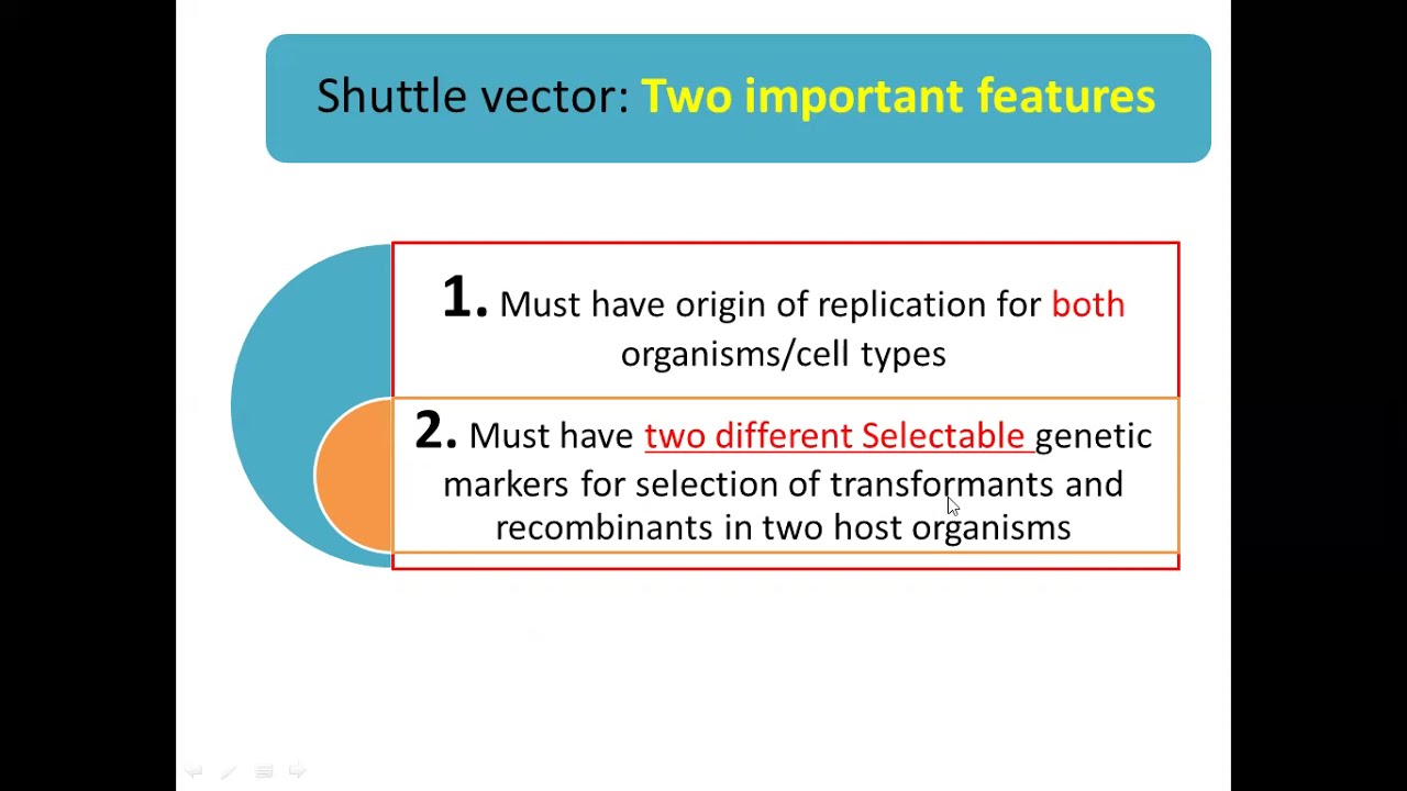 what are Shuttle vectors: Yeast Vectors