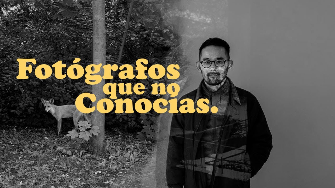 Cuatro años haciendo fotos desde su ventana