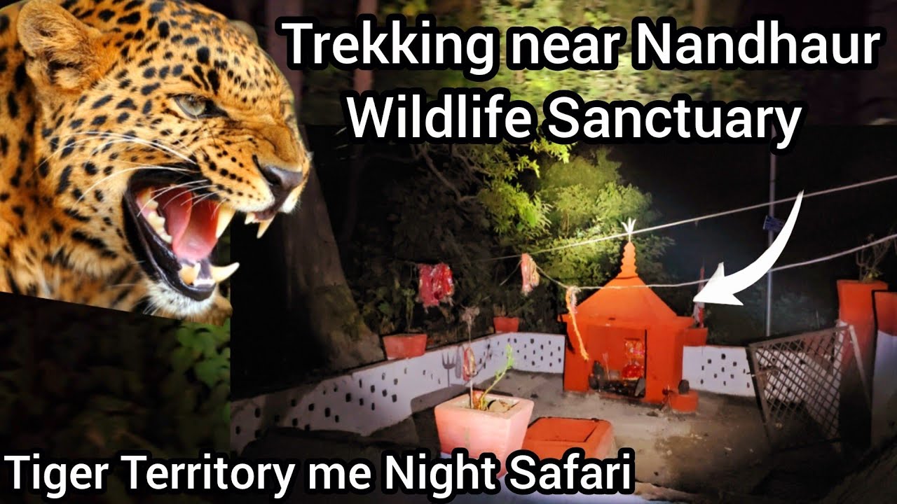 Night Trekking near Nandhaur Wildlife Sanctuary | Night Safari | #wildlife #tiger #uttrakhand Part-1