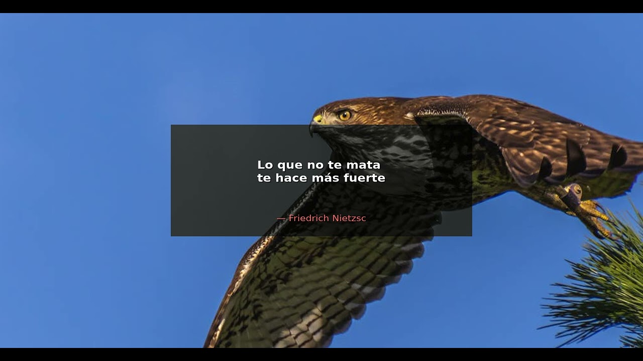 Lo que no te mata te hace más fuerte. - Friedrich Nietzsche | Alma Guerrera