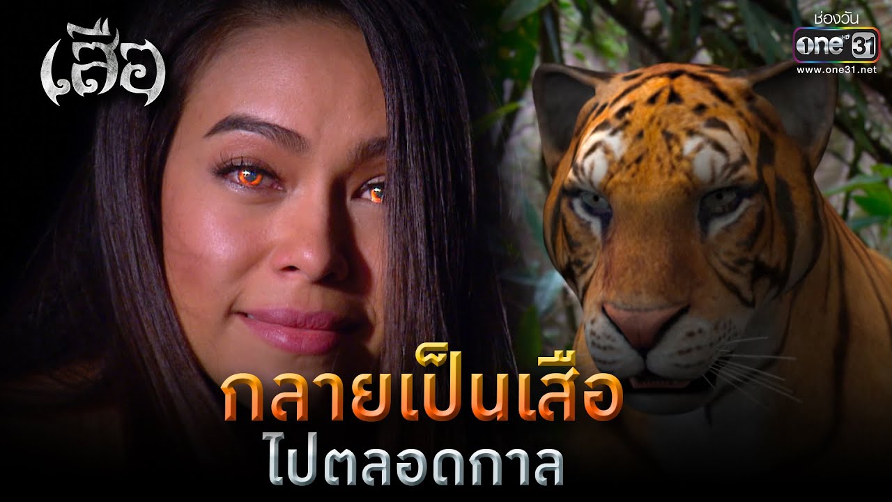 กลายเป็นเสือตลอดกาล | HIGHLIGHT เสือ EP.16 (ตอนจบ) | 31 มี.ค. 64 | one31