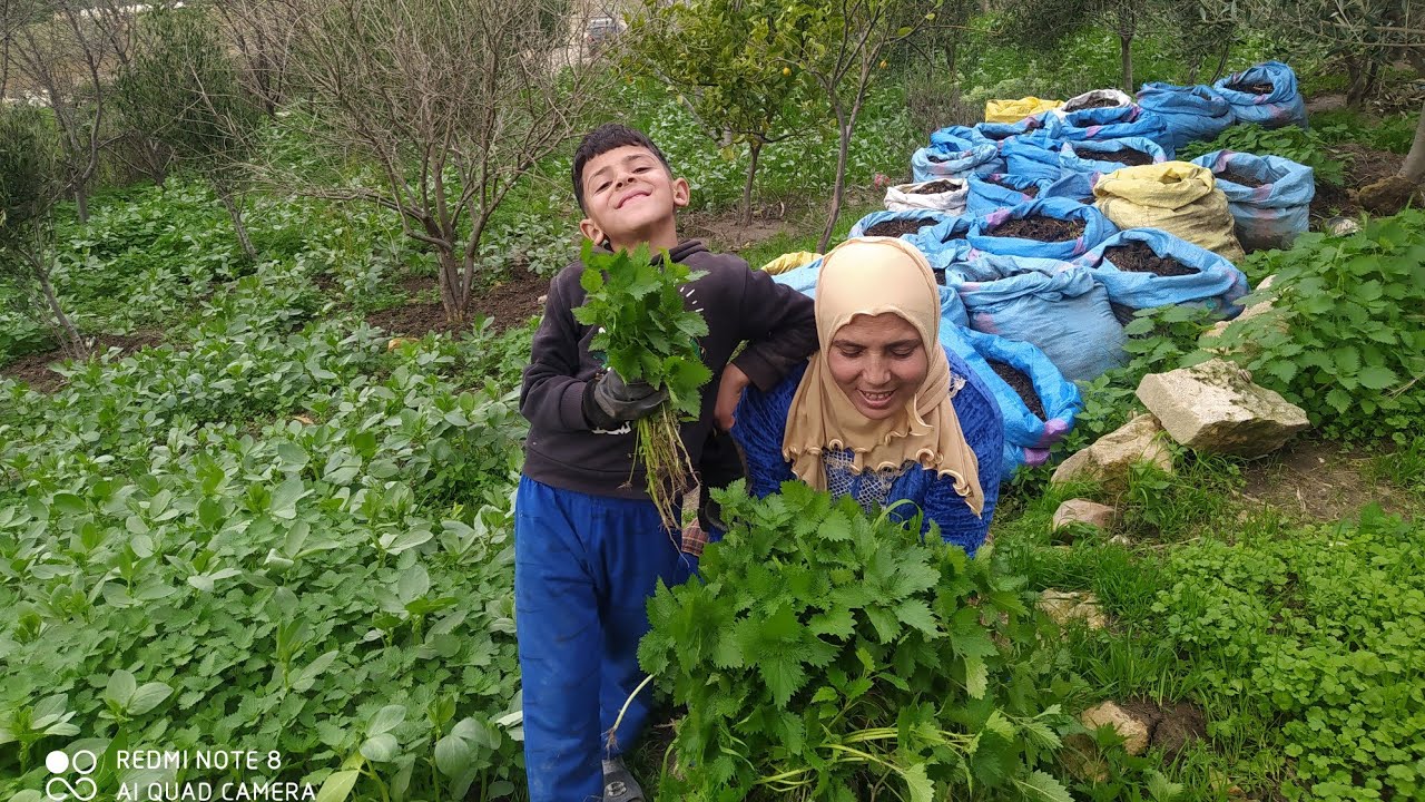 أجيو تشوفو اليوم شركت معكم 💪 أجواء ديال البادية 🥰