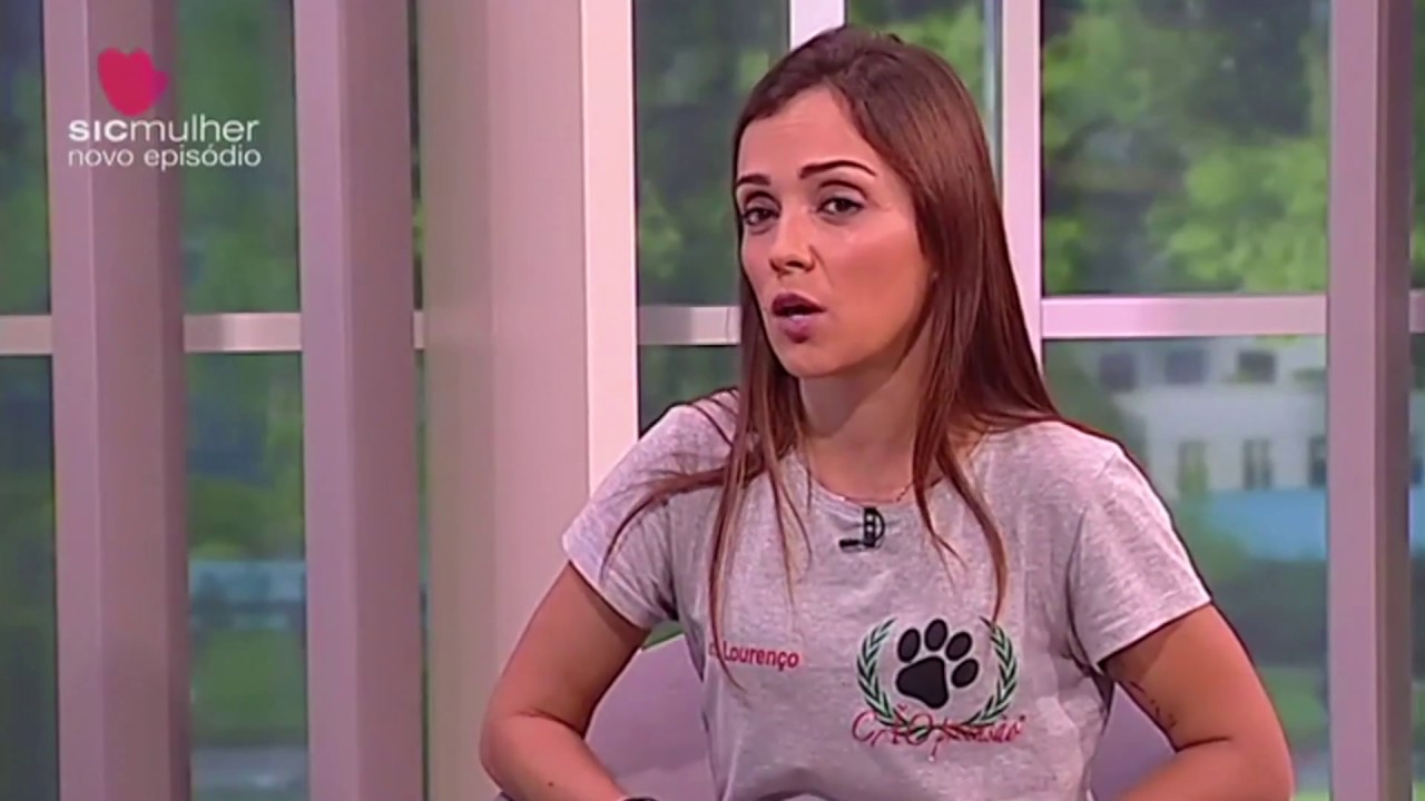 CÃOpreensão no programa 