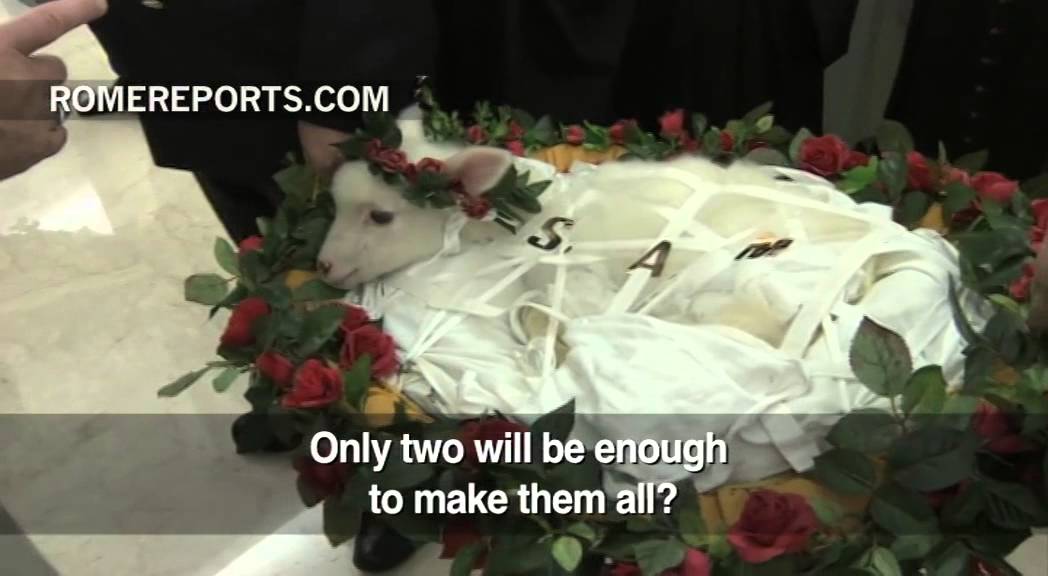 Pope Francis blesses the lambs that will provide wool for archbishops\' palliums