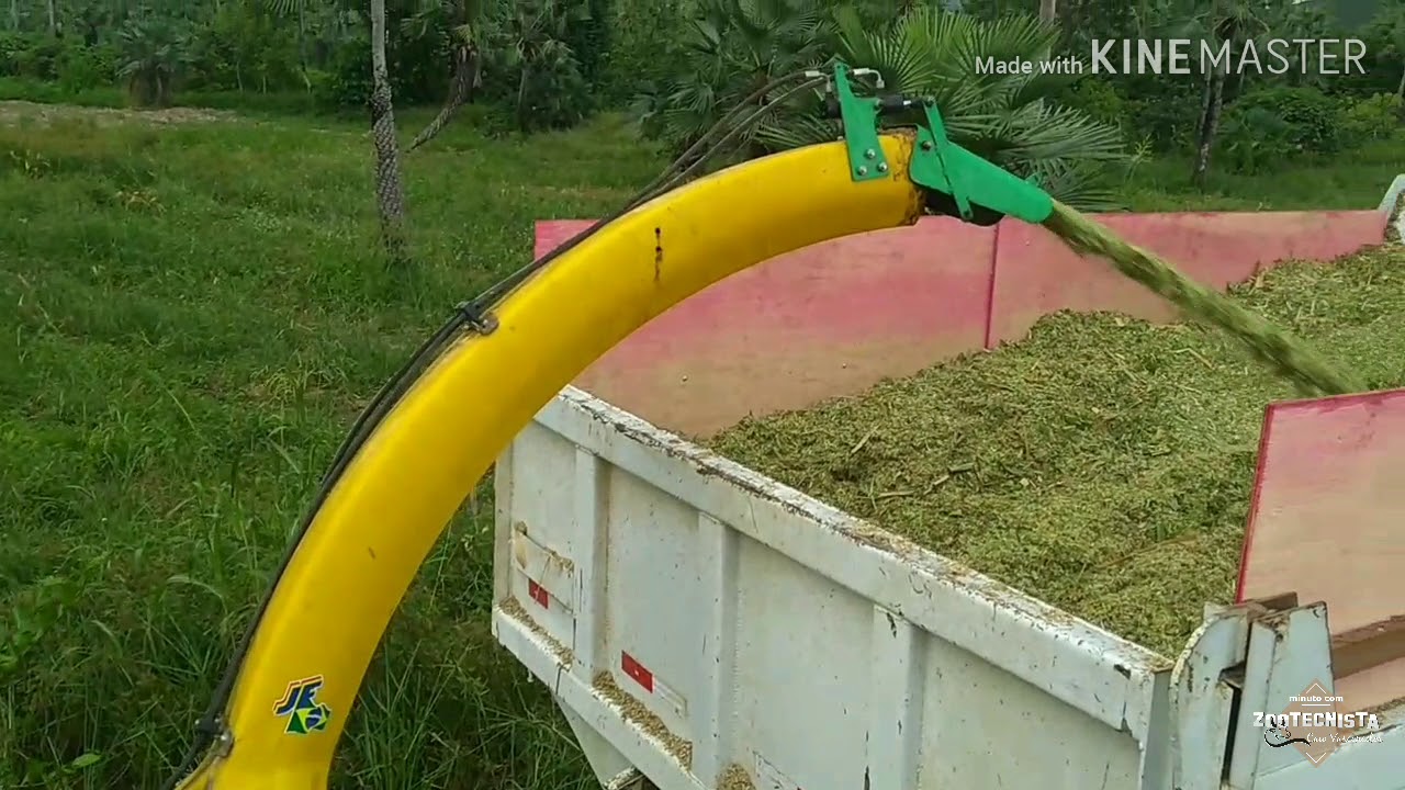 Custo da Silagem de Capiaçu a 0,075 centavos/Kg