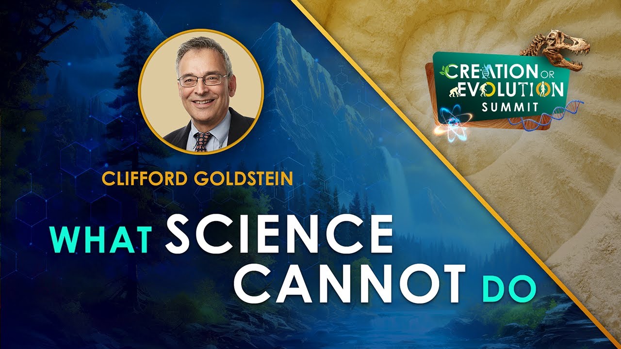 Creation or Evolution: 