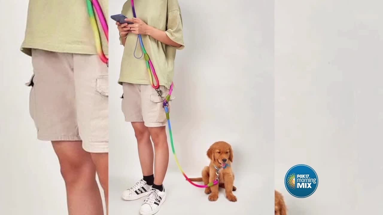 Bargain or Bust: Hands-Free Dog Leash by Bruno's Place Brooklyn