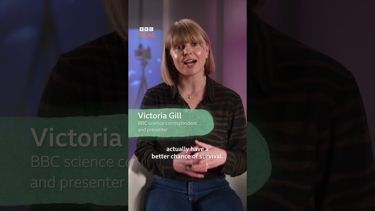 What is the point of the menopause?