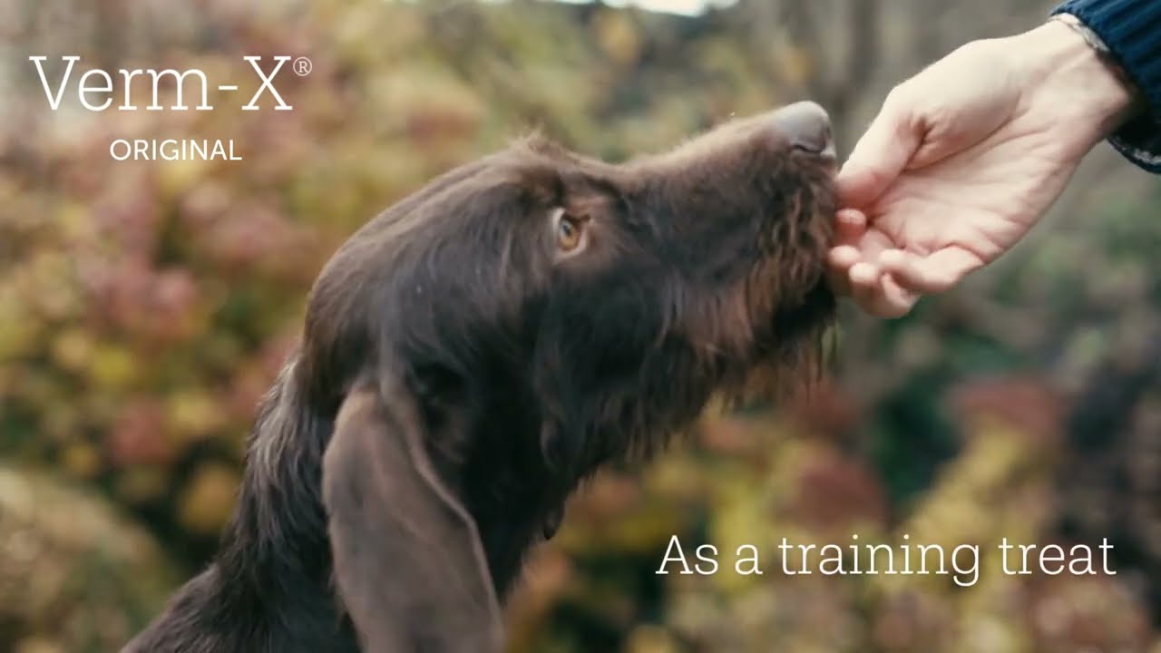 Verm-X Original Crunchies For Dogs 🐾