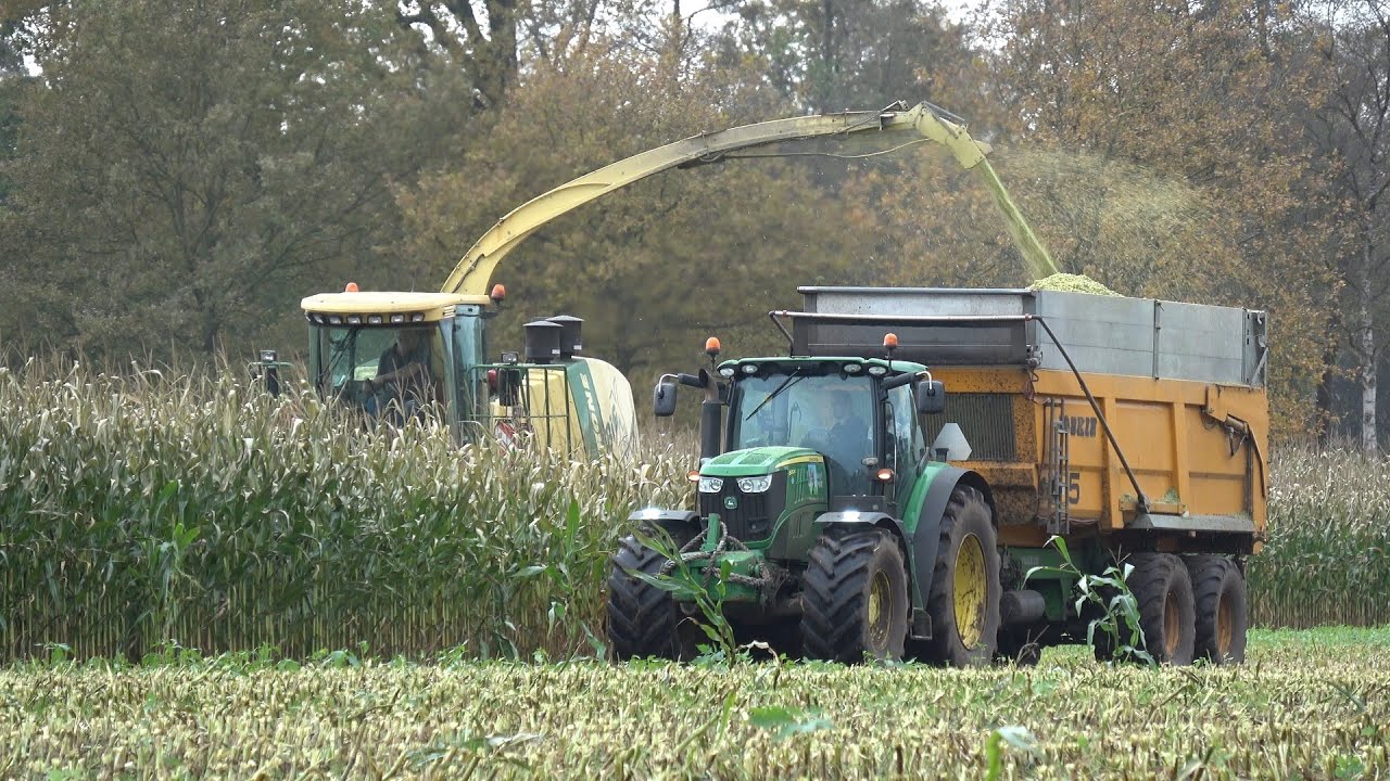 De laatste loodjes, Wemekamp hakselt een van de laatste velden mais van het seizoen (2024)
