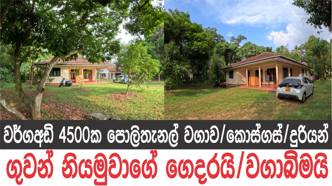 ගුවන් නියමුවාගේ ගෙදරයි, වගාබිමයි, දූරියන් ගස් 3යි, කොස්ගස් 2යි, රඹුටන් ගස් 2යි, අලිගැටපේර ගහයි..