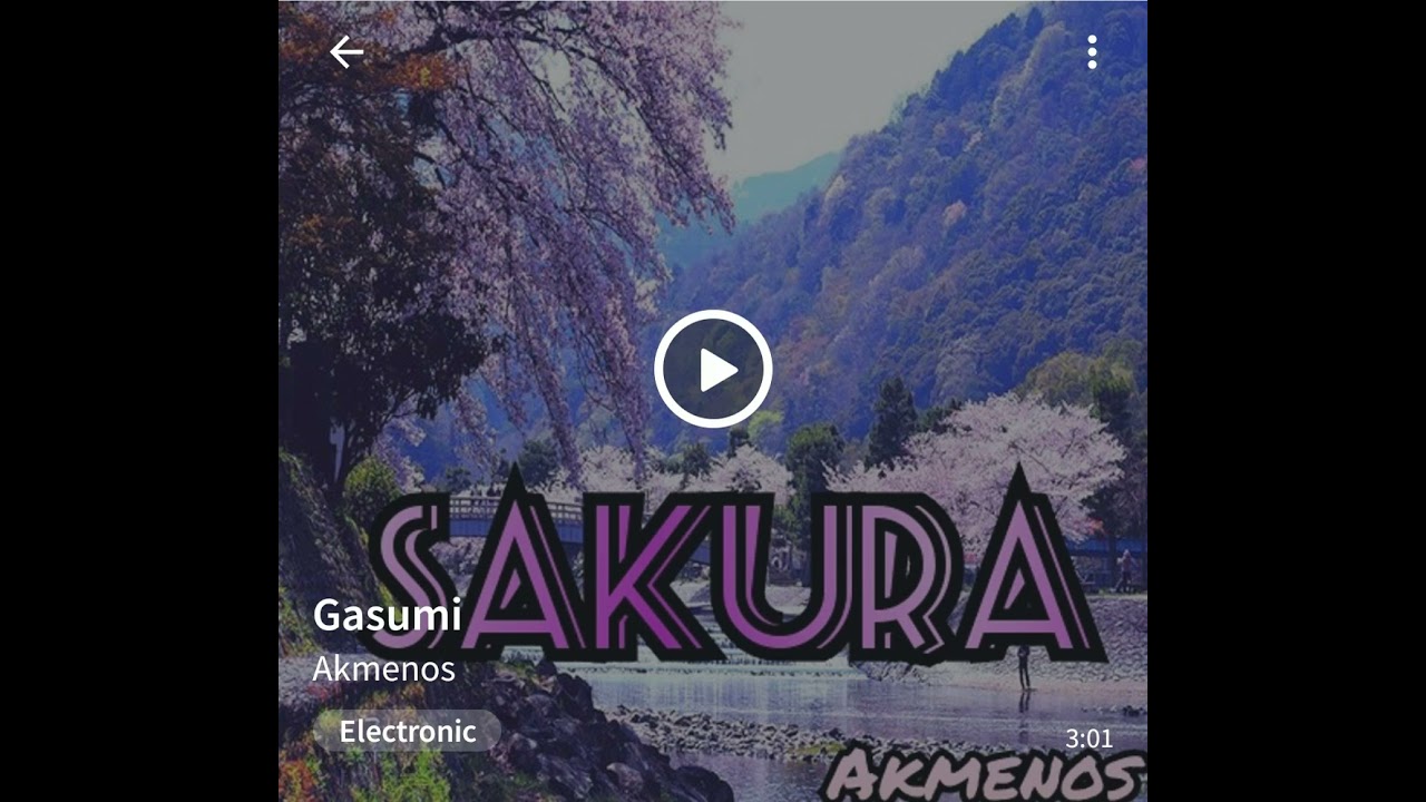 Gasumi - Akmenos