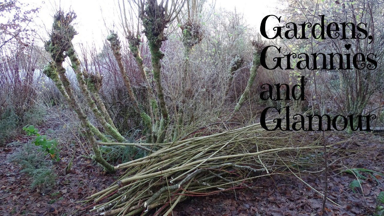 Gardens, Grannies and Glamour