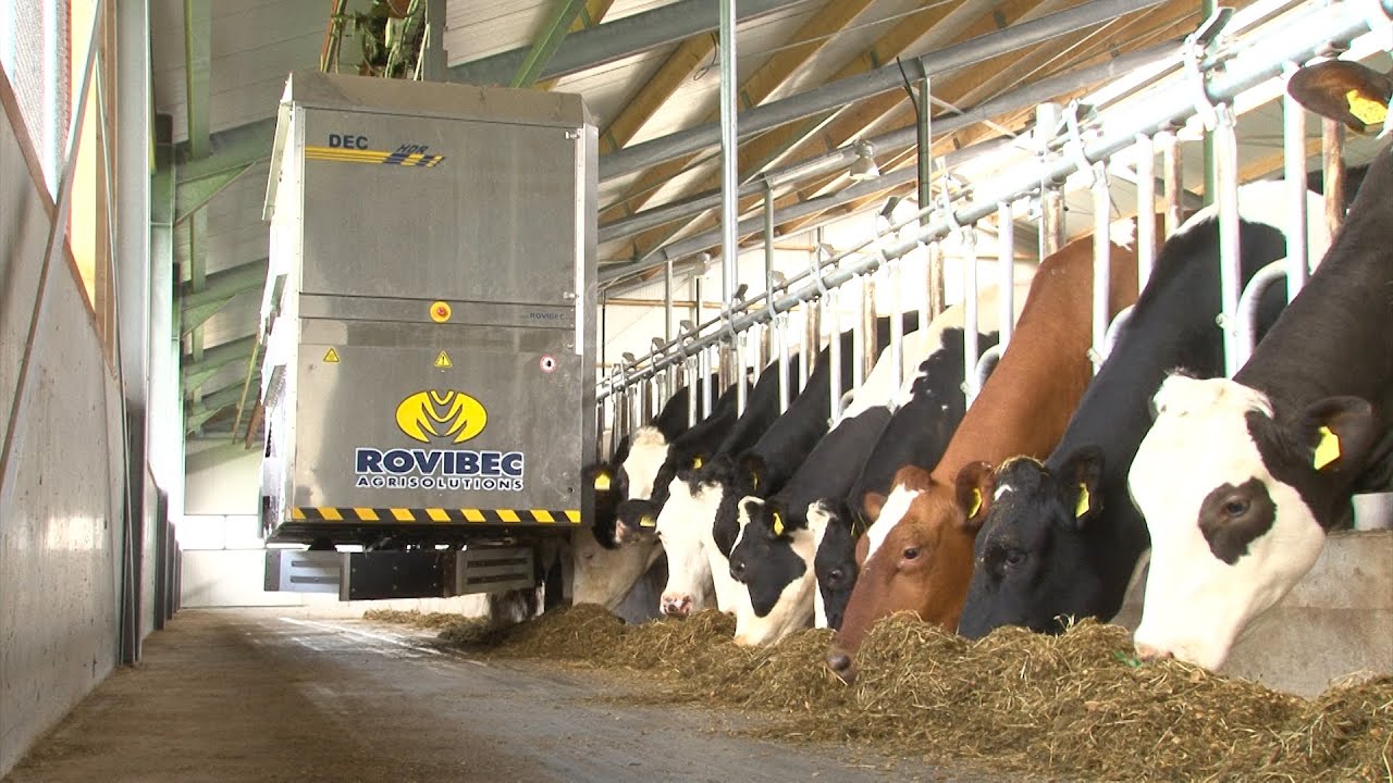 Meer liters door automatisering in nieuwe stal - Melkvee.nl
