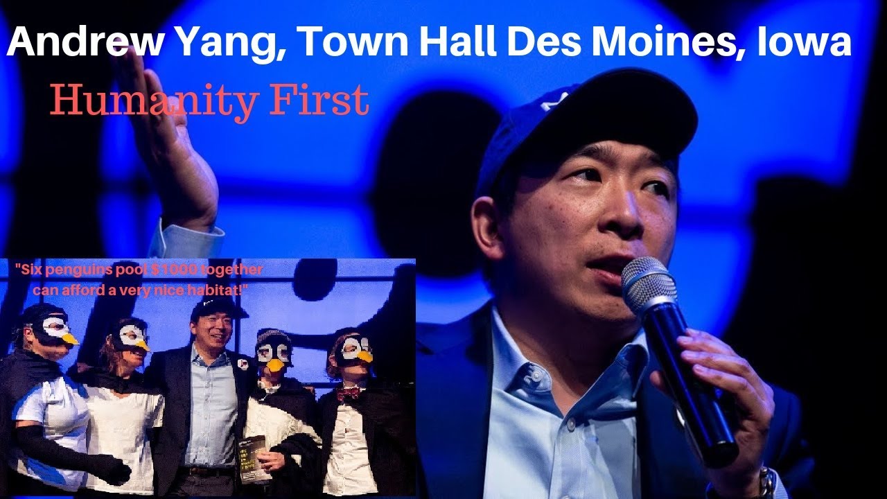 Andrew Yang -Yang Gang, Climate, Housing, Six penguins pool $1000 together can afford nice hibitat