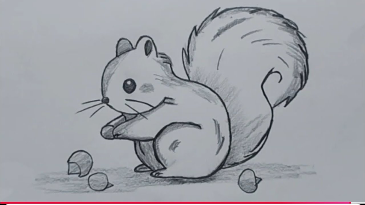 How to draw a Squirrel ।। गिलेरि कैसे ड्रॉ करें 