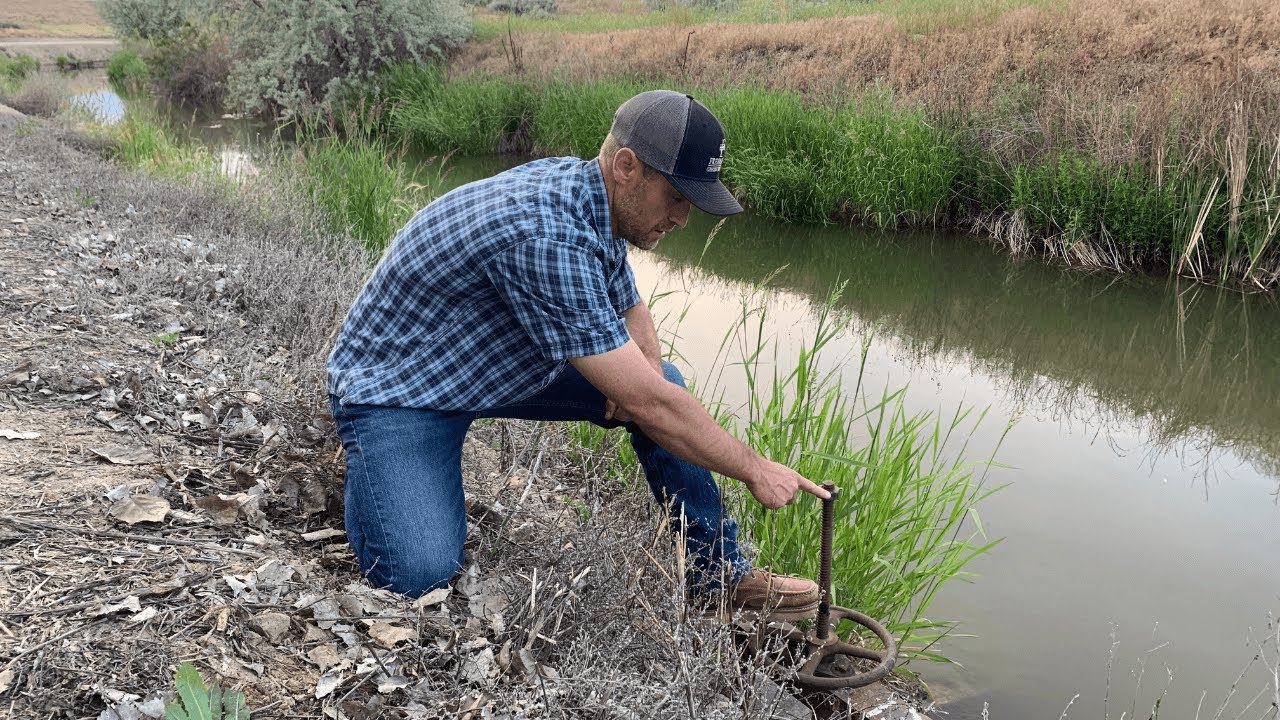 Checking Irrigation Access When You Are Buying Land or a Home