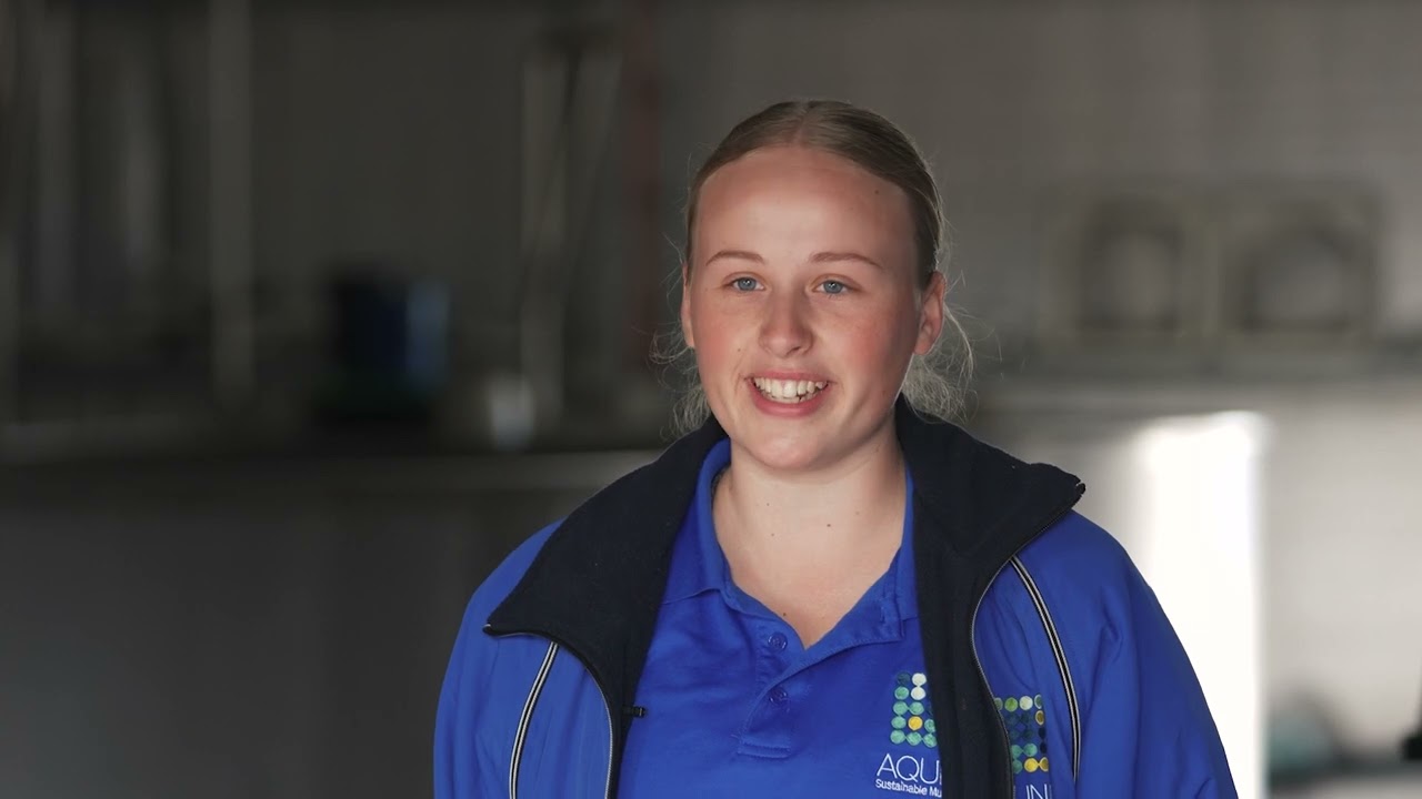 Aquna Murray Cod