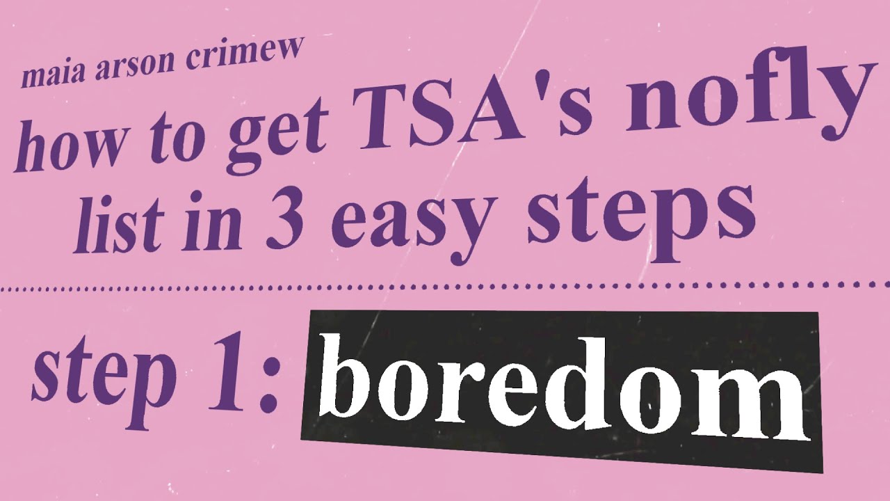 meet the hacker that stole TSA's no fly list