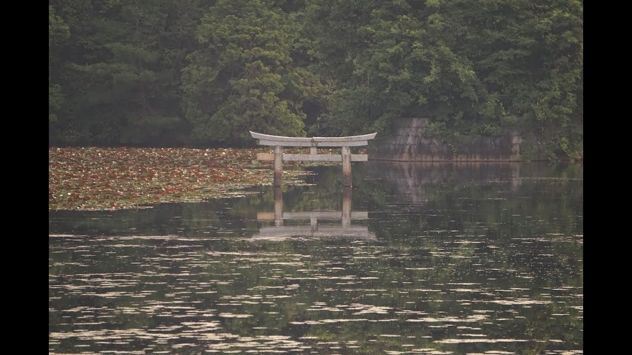 弁天池の沈み鳥居（名坂大池寺自然公園）