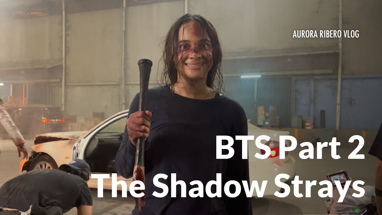 BTS Aurora The Shadow Strays - Bagian 2