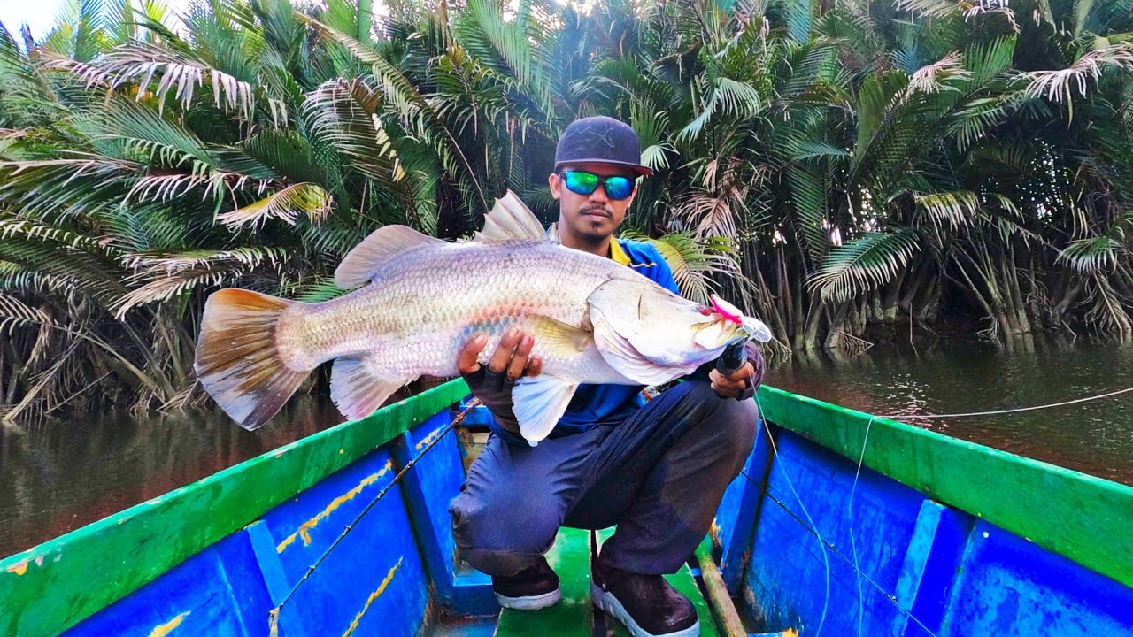 LURE PUSPITA F RSY|| CASTING MONSTER BARRAMUNDI & BLACKBASS,MANGROVE JACK