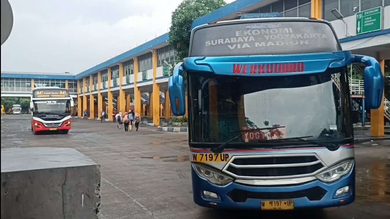RAME🔥AKTIVITAS ANGKATAN SORE TERMINAL PURABAYA