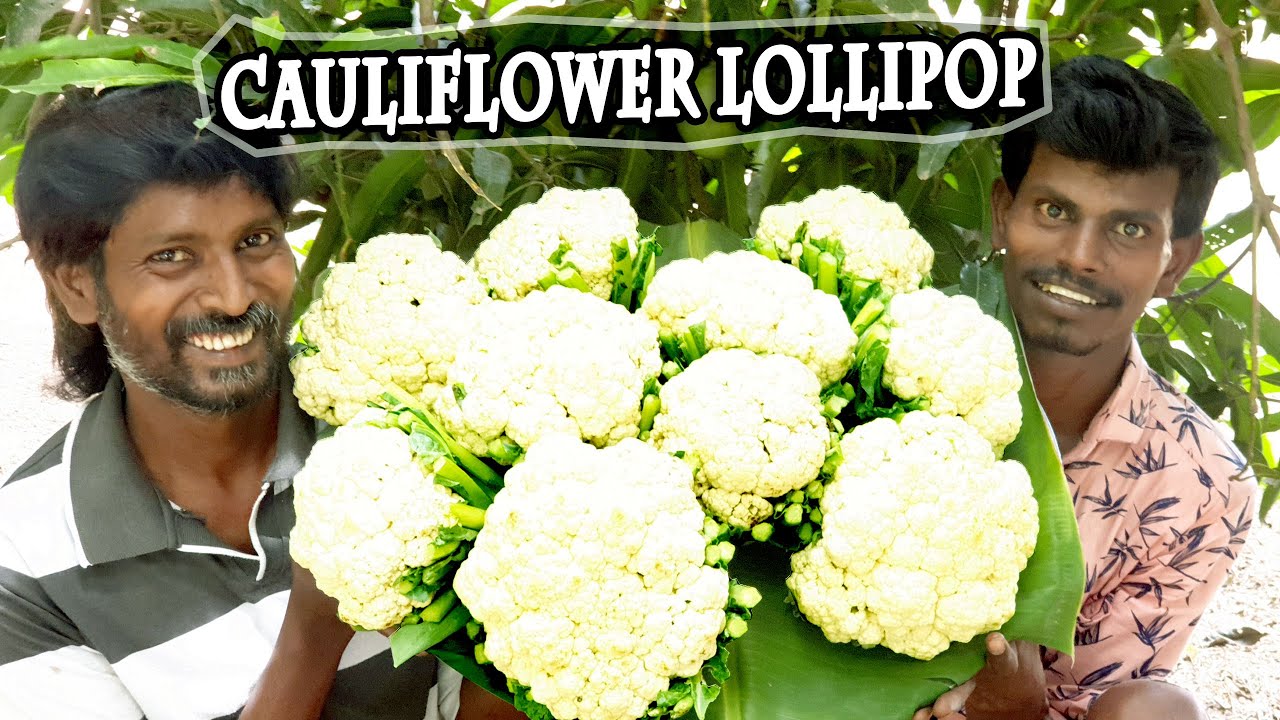 Lock down Special Cauliflower Lollipops | காலிபிளவர் லாலிபாப்ஸ் | Cauliflower Lollipop Recipe
