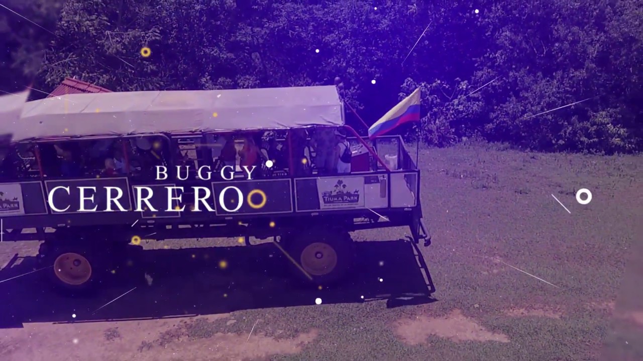 Buggy Cerrero en Tiuma Park