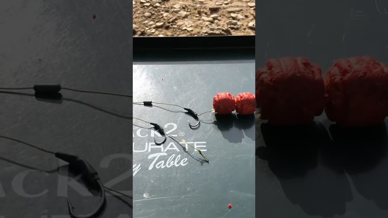 Montage carpe bouillette darkdevil Mack2😋 #carpe #carp #carpfishing #carpangler #mack2 #carpiste