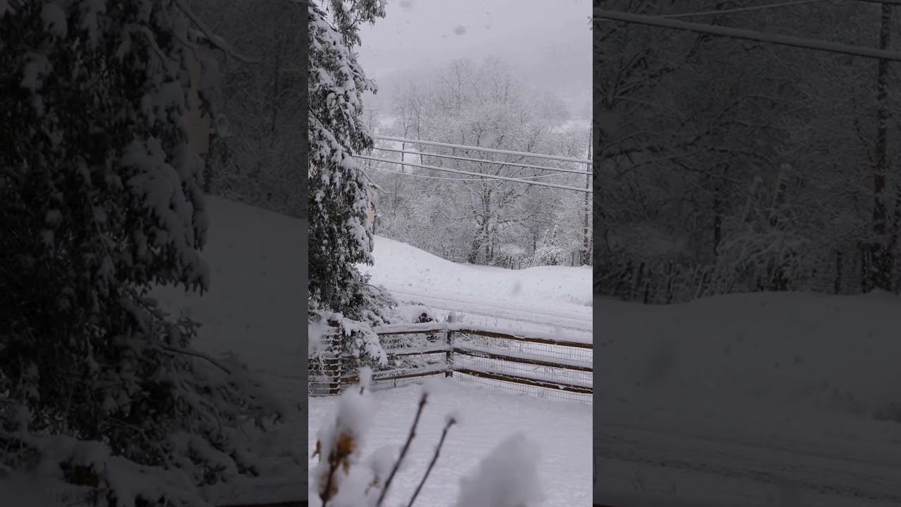 Falling Snow & Soft Piano ❄️🎹 | Deep Relaxation & Sleep Music🎶 