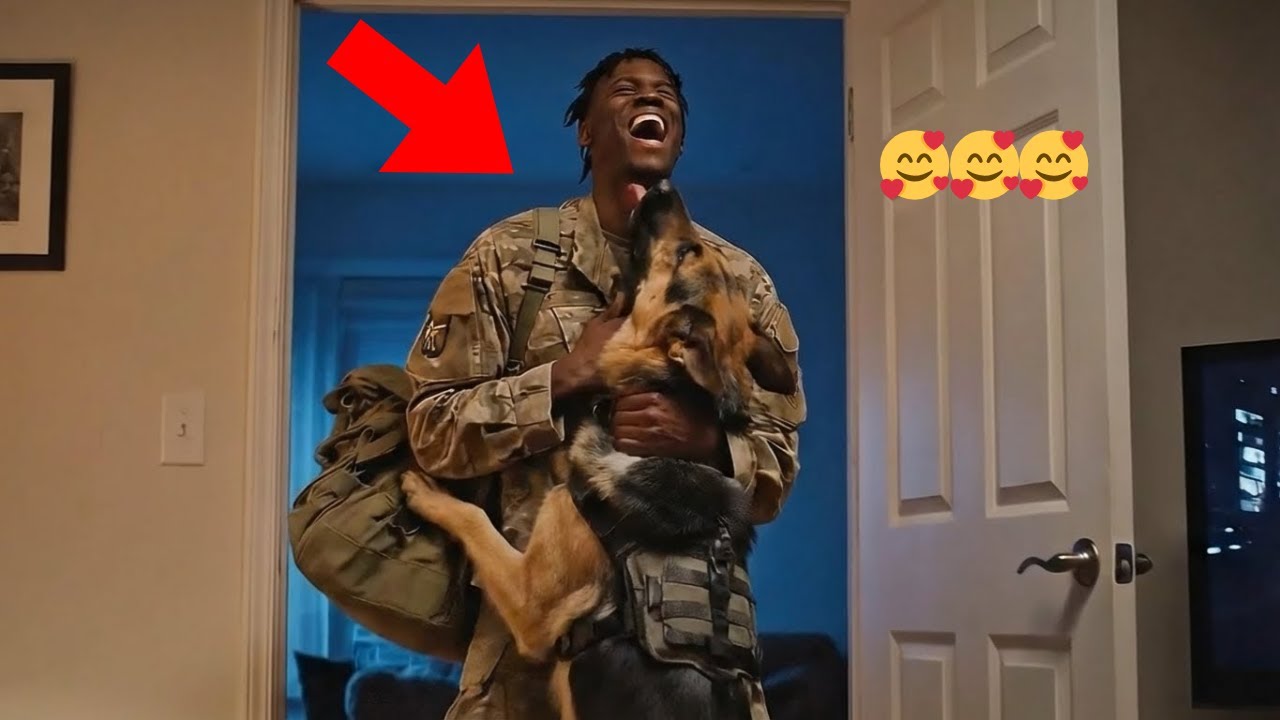 🥰🥰 Reencuentro Emocionante: ¡Perros Reciben a su Soldado Tras Mucho Tiempo! 