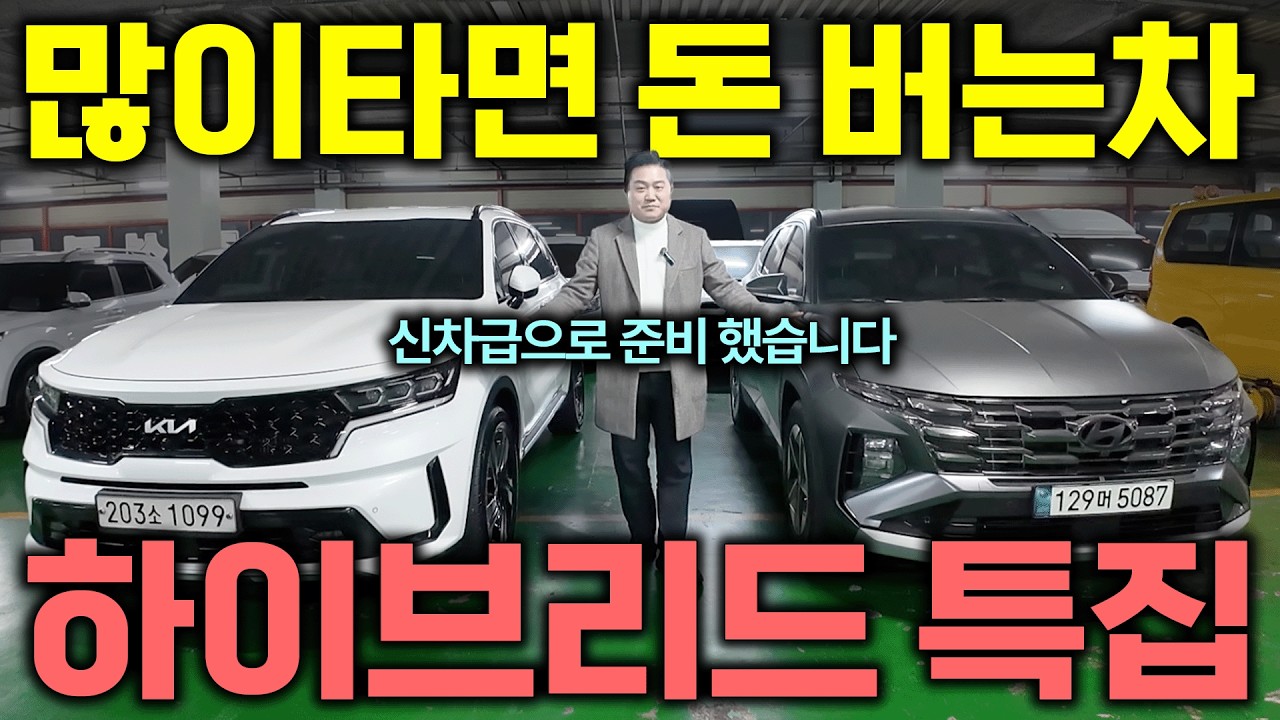 애들 다 자랄때까지 걱정이 없다니까!? 하이브리드 패밀리카 2대 쏘렌토 투싼 | 이삭모터스 중고차