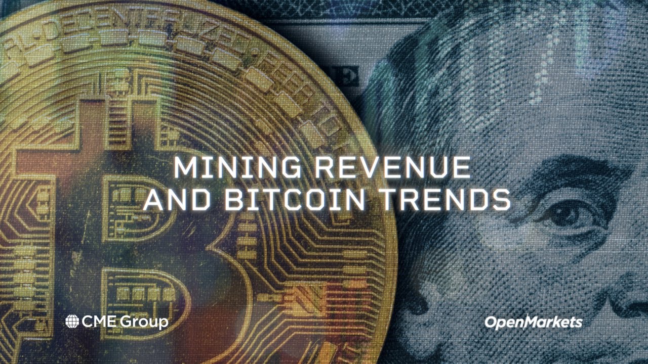 Economist Perspective: Mining Revenue and Bitcoin Trends