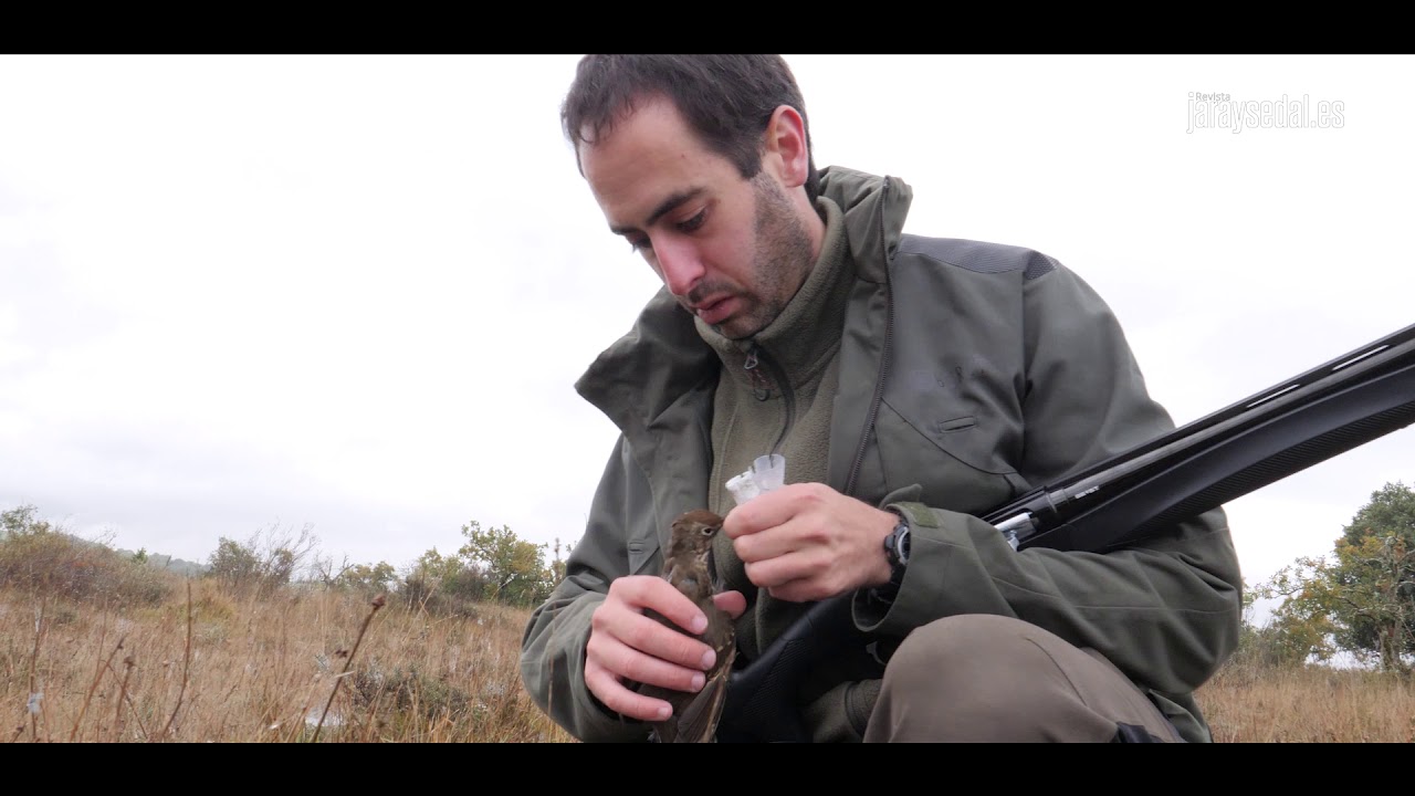 Cazando zorzales con la Benelli Be Diamond