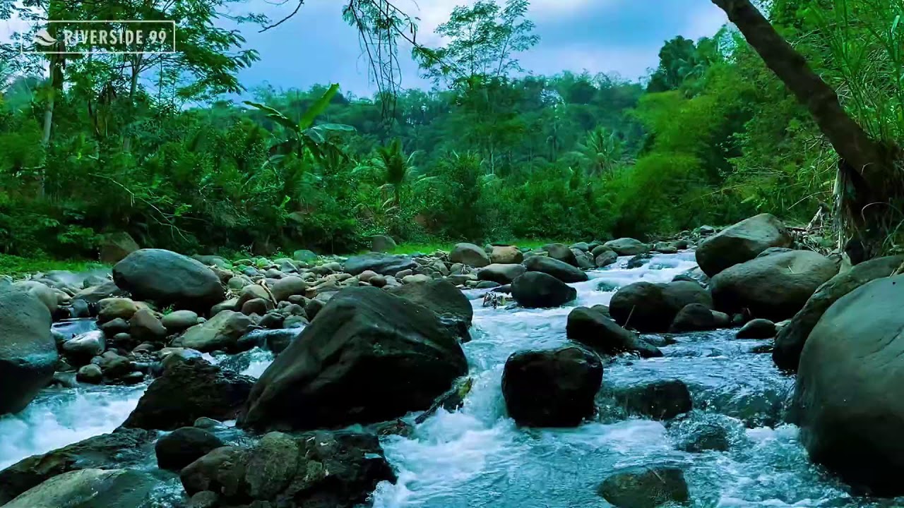 River Sounds for Deep Sleep | Natural Flowing Water White Noise to Calm Mind and Anxiety