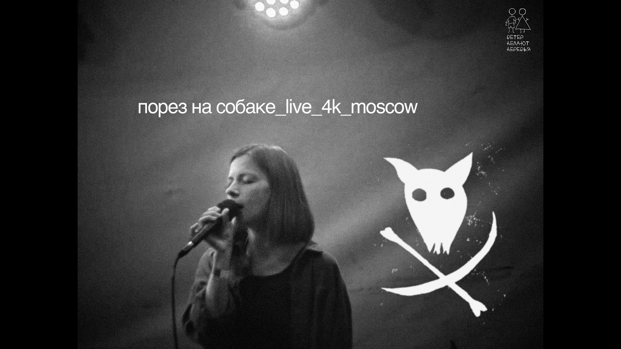 Порез на собаке — LIVE (Moscow/10-08-2025)