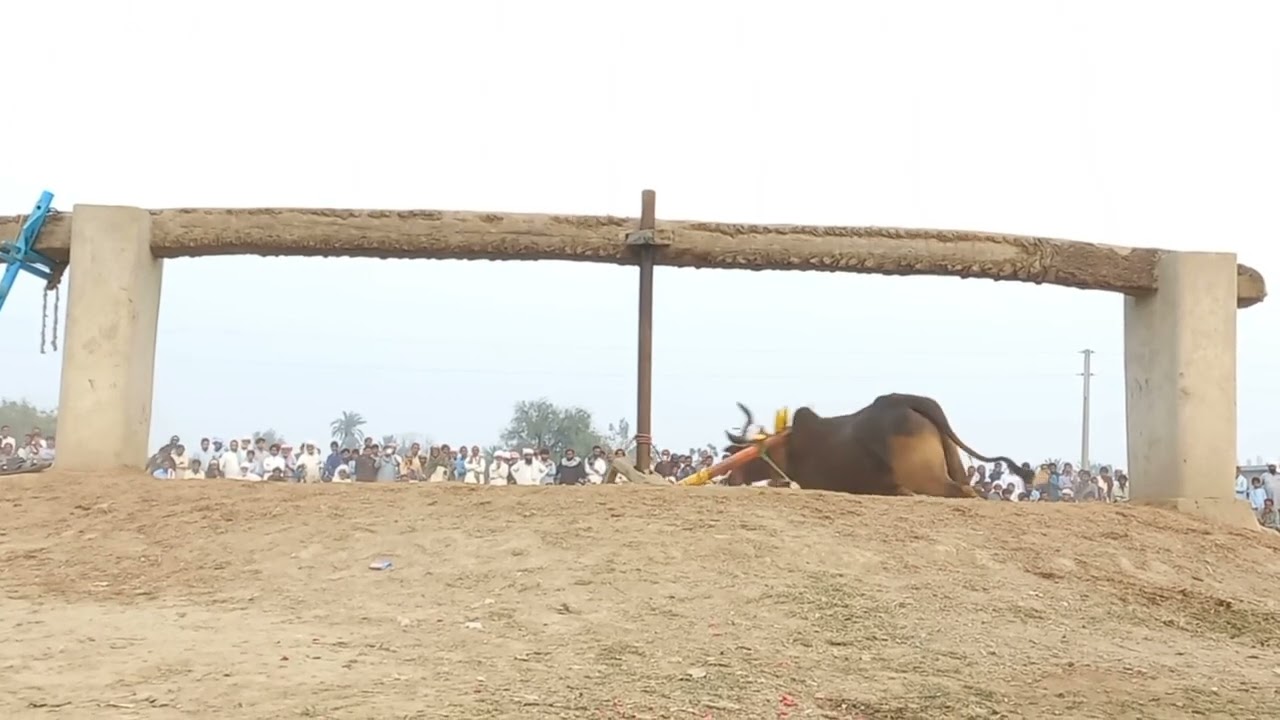 نوکر صحابہ دا پہلی پوزیشن