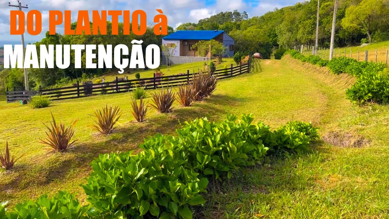 A ROTINA DE JARDINAGEM QUE NINGUÉM TE CONTA